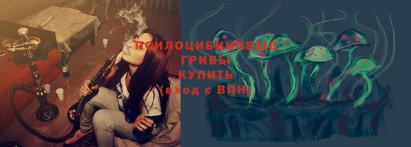 ПСИЛОЦИБИНОВЫЕ ГРИБЫ Абинск