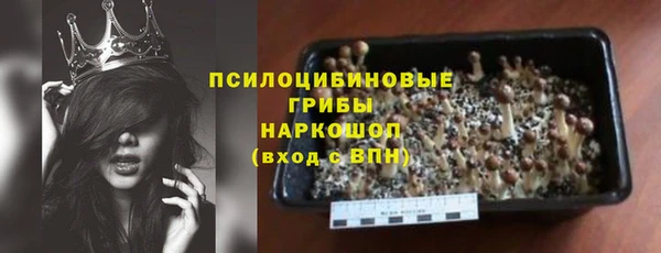 ПСИЛОЦИБИНОВЫЕ ГРИБЫ Абинск