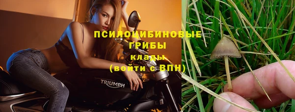 ПСИЛОЦИБИНОВЫЕ ГРИБЫ Абинск