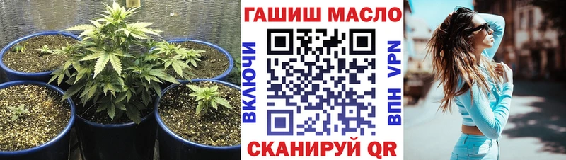 OMG   закладки  Стрежевой  ТГК THC oil 
